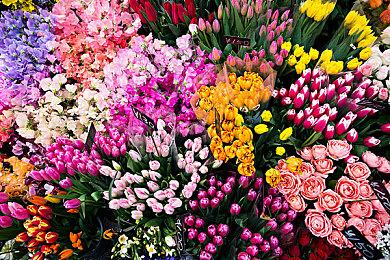 发售日提前泄露！《毁灭战士：黑暗时代》将于5月推出